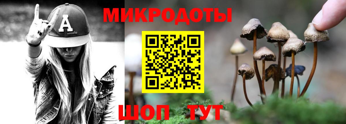 Галлюциногенные грибы прущие грибы  Вход с VPN  Ноябрьск 